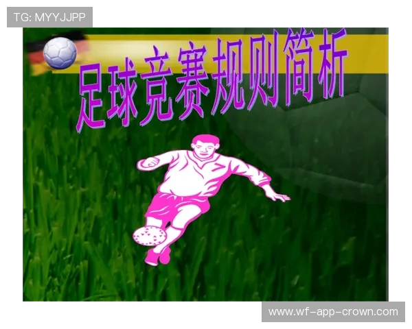 掷界外球规则详解及判罚标准解析